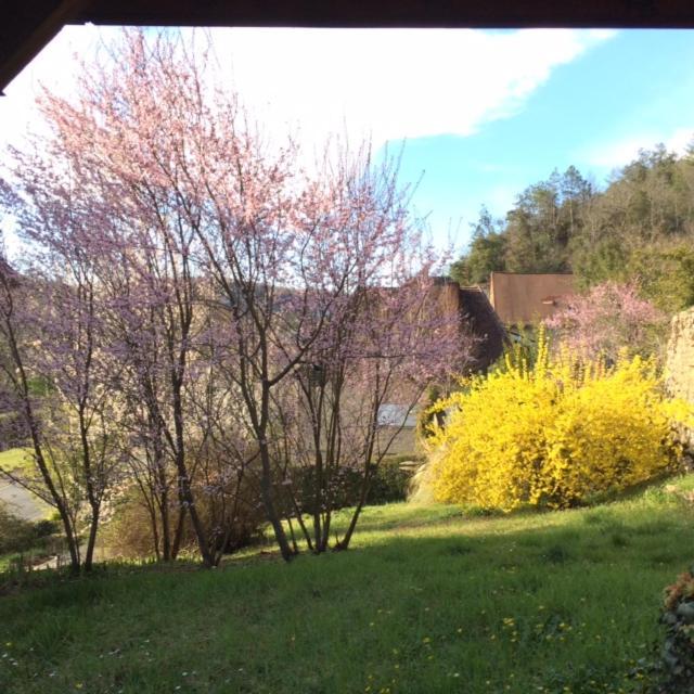 La Maison Carree - De Charme - Clim & Piscine Chauffee Privatunterkunft *