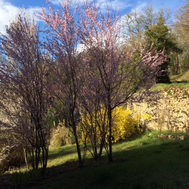Privatunterkunft La Maison Carree - De Charme - Clim & Piscine Chauffee Les Eyzies